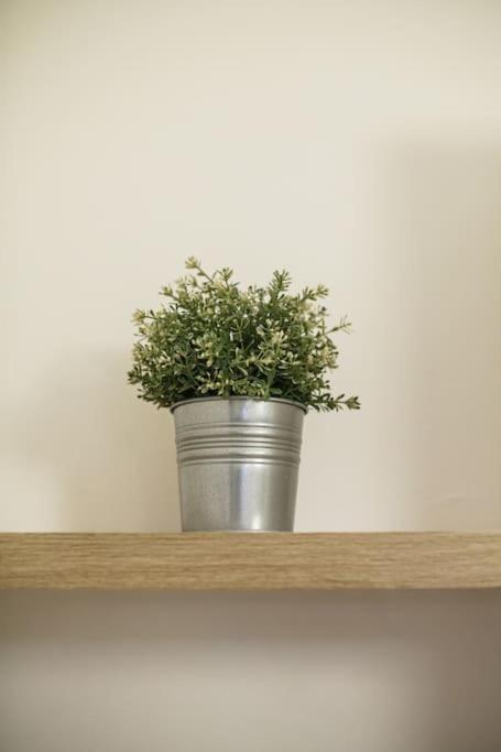 Apartamento Cozy